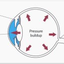 형제안과 이미지