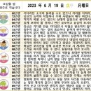 2023년 6월 19일 운세 및 세상 소식 이미지