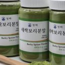 새싹모아