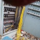 선은식농장 이미지