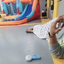 조대원태권도장 이미지