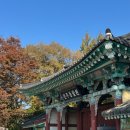 이화유치원 | 아이와 함께 전주여행, 가볼만한 전주 동물원 방문 후기