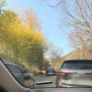 아시아드시티웨딩홀 교통섬 | 부산 아시아드시티웨딩홀 르누아르홀 하객 후기(뷔페,주차,ATM)