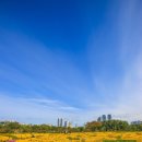 태화강국가정원 이미지