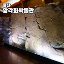 울산암각화박물관 | 울주 실내 여행 울산암각화박물관 아이와 가볼만한곳