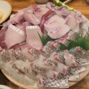 분평동맛집/청주맛집) 숙성회가 인상 깊었던 어촌별미 내돈내산 후기