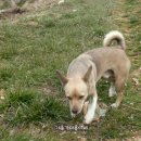 재롱이네 이미지