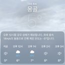 [아무래도 함께라서 행복했던 몽골여행-preview] 중부지역 w/t 리더스투어🐫