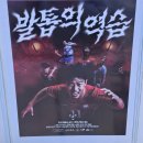 국가대표 | 2026 북중미 월드컵 한국 축구 국가대표 유니폼 실물 후기