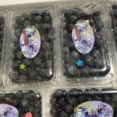 은파농장 이미지