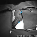 용산동물의료센터 이미지