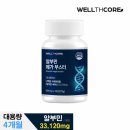 메가웰스