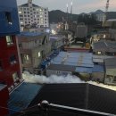 남도복국 완도점 이미지