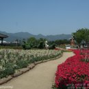 기차마을 이미지