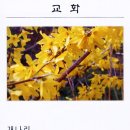 연천중고등학교 이미지