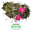 앤화이트펜션.비치 이미지