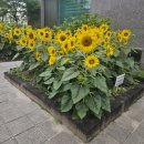 노인정 옆 이미지