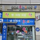 파랑새약국 이미지