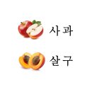 보손한의원 이미지