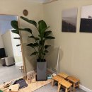 온 카페 이미지