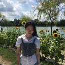 이랴이랴 워~워 이미지