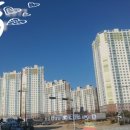 신항당구클럽 이미지