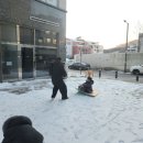 고산 합기도 거호의인총본관 이미지