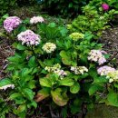 금순목장 이미지