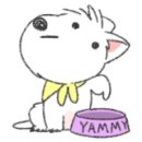 디스크 독 연구소 이미지