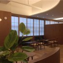 옥정든든치과의원 이미지