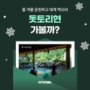 여기요