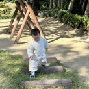 느티공원 이미지