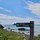 여천공용터미널 | 제주도 같았던 여수 낭도 둘레길(1코스) 트레킹 후기