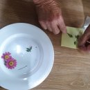 강사3리경로당 이미지