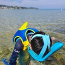 화진포호수민박 이미지