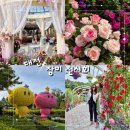 동명초등학교 | 대전 가볼만한곳, 대청호 '장미 전시회' [기간, 주차장, 공연일정, 볼거리 먹거리] 후기