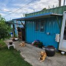 푸른고래 카라반 캠핑 이미지