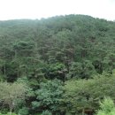 돌석도예박물관 이미지