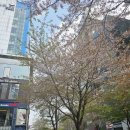 어썸노래연습장 이미지