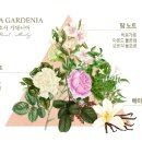 로사플라워 - 서천군 사곡로 28 | 산타마리아노벨라 로사 가데니아 향수 후기 🌹 우아함 끝판왕 플로럴 머스크