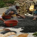 송월민박 이미지