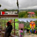 인형의 거리(원숭이 | 필리핀 세부 보홀 자유 여행 초콜릿힐 반딧불투어 후기