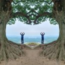 성흥산 사랑나무 이미지