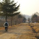 이강석농장 Daum카페