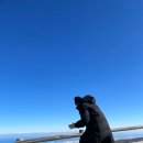 흥일목장 이미지