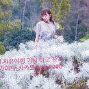 에델바이스화원 이미지