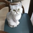 고탑수학학원 이미지