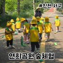 연희자연마당 공원  | 연희공원 숲체험 연희자연마당 숲놀이