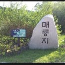 황학산수목원 이미지