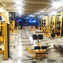 디자인휘트니스 이미지